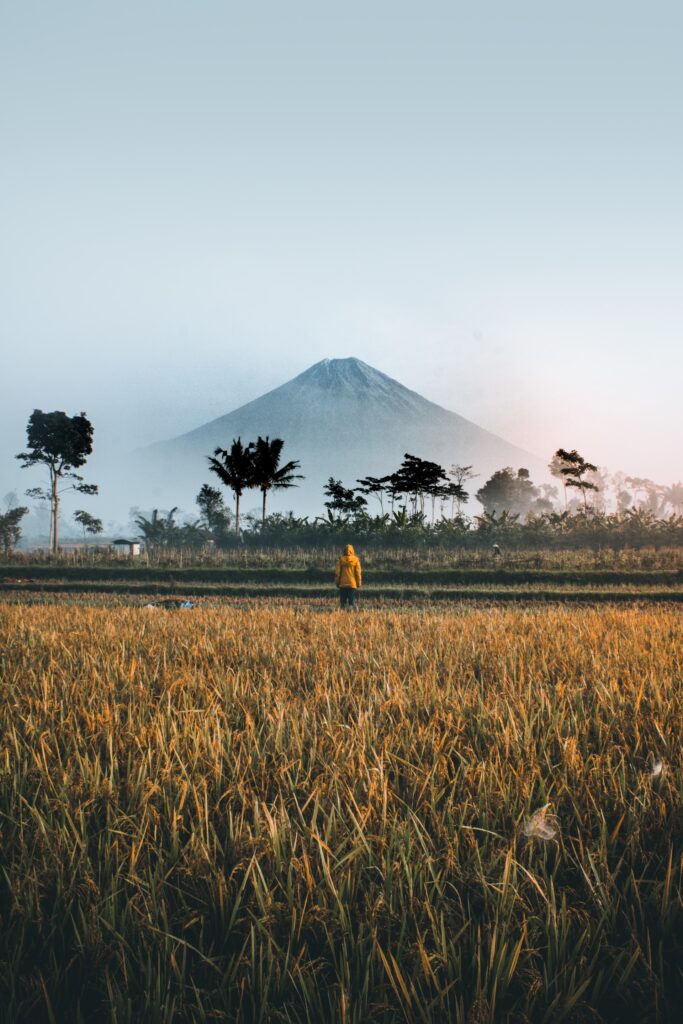 Imagen de Oro Ombo Indonesia